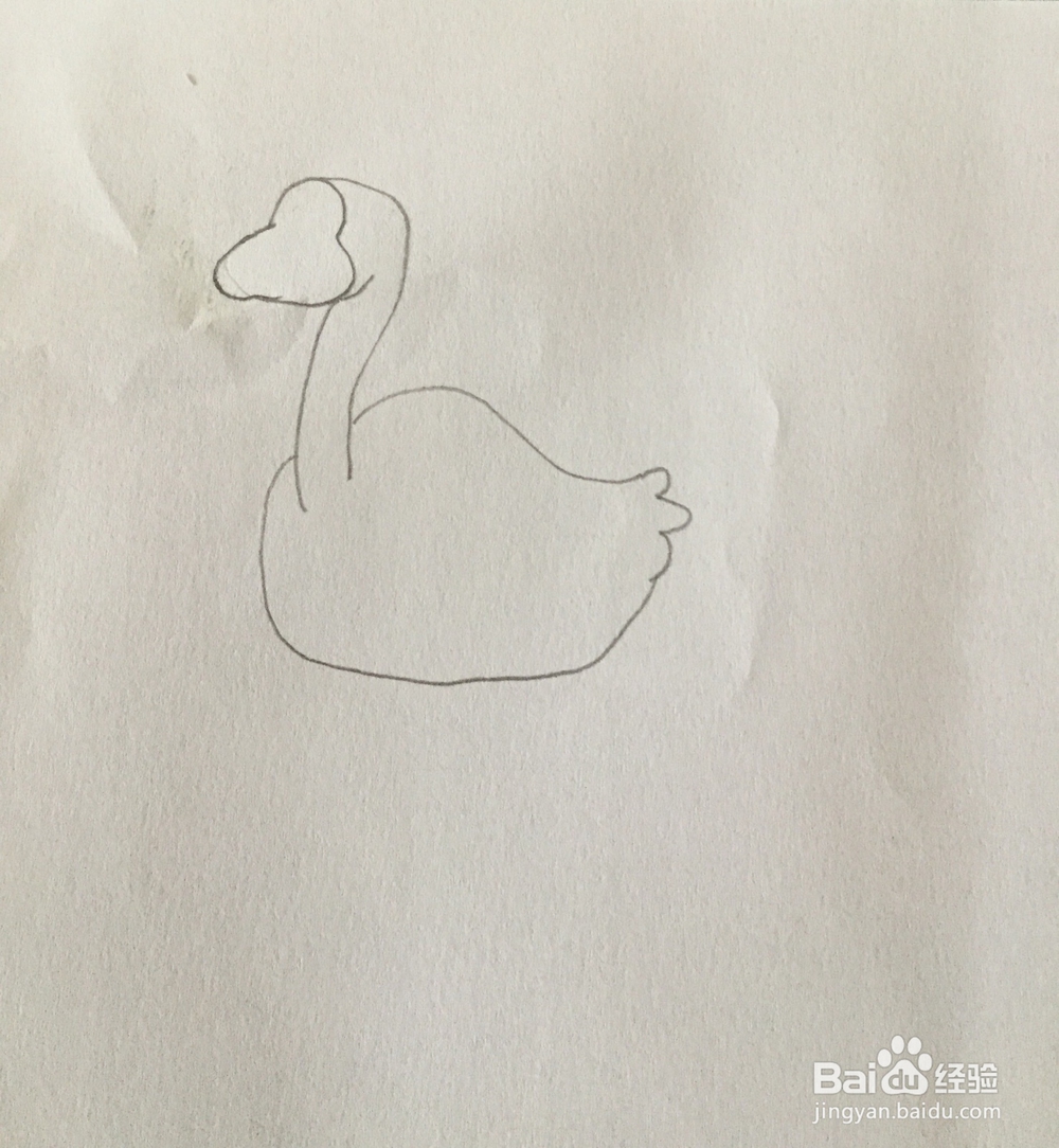 白天鹅简笔画教程