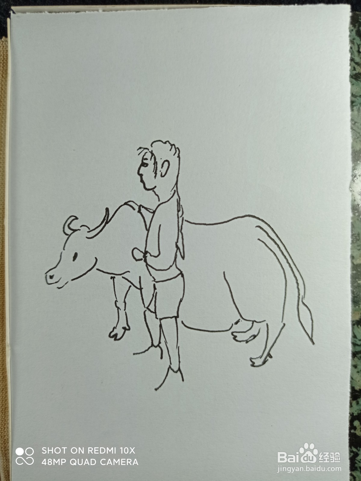 怎样画简笔画牵着牛的女孩