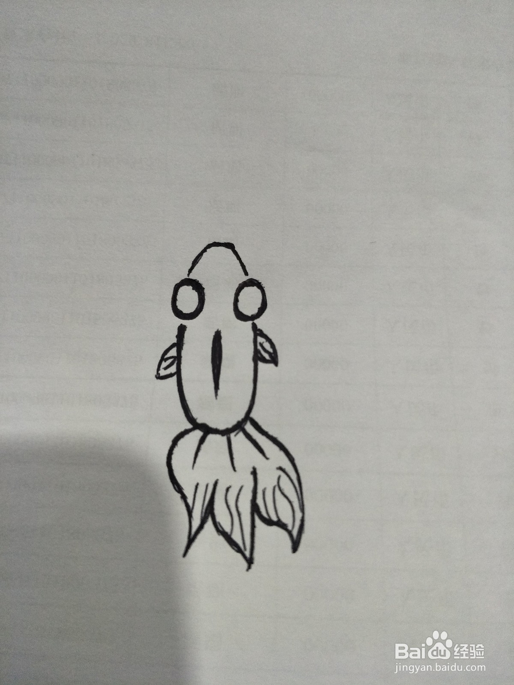 快速画出一条活灵活现的小金鱼