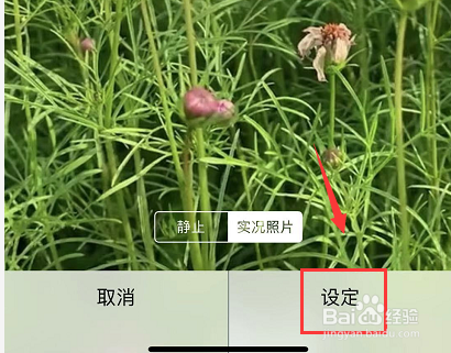 苹果手机抖音动态壁纸怎么设置