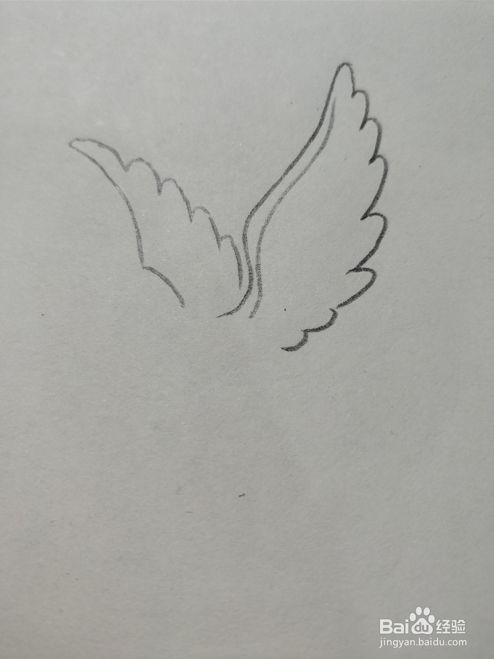 怎么简笔画画和平鸽