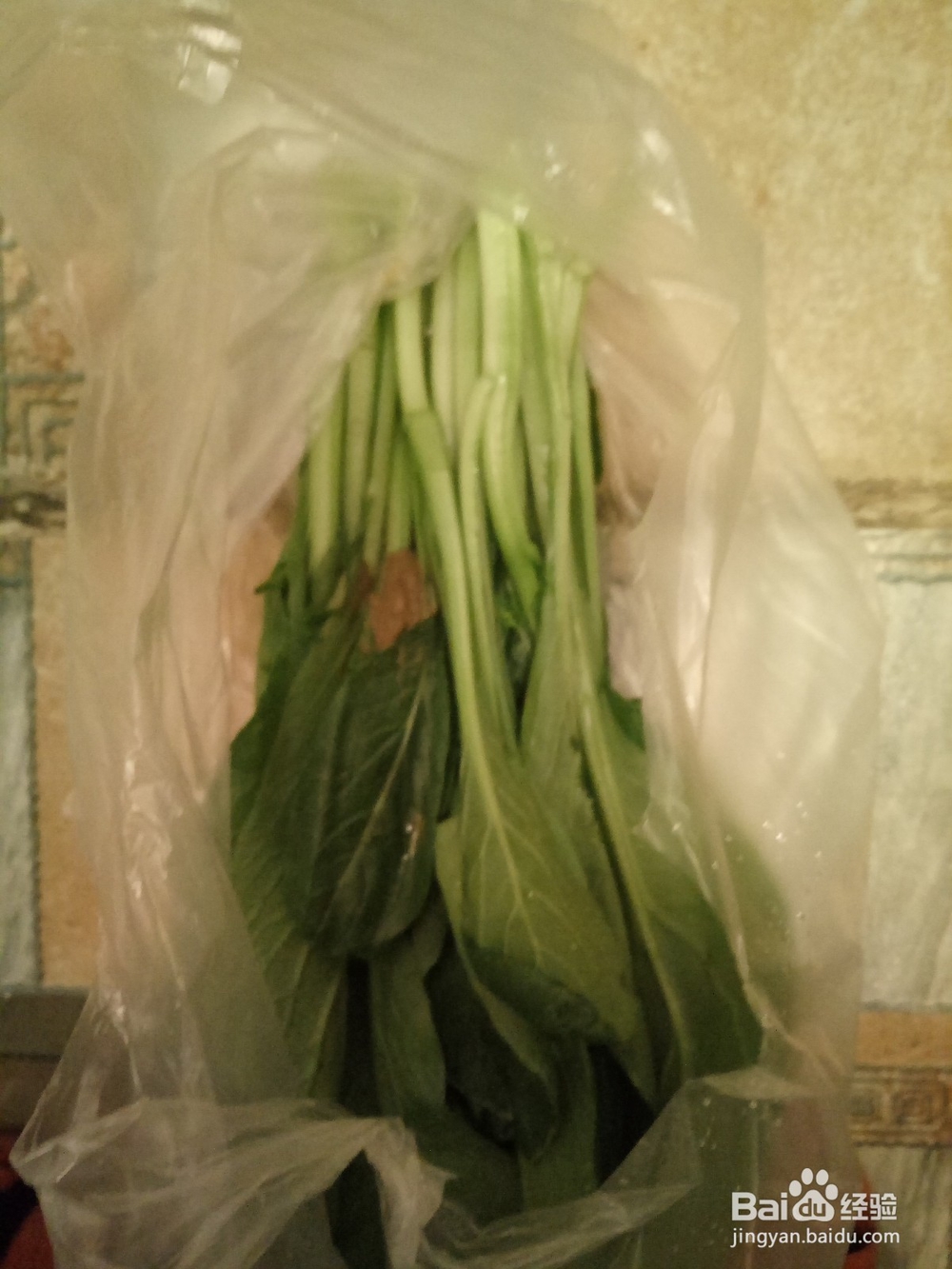 单身狗的午餐