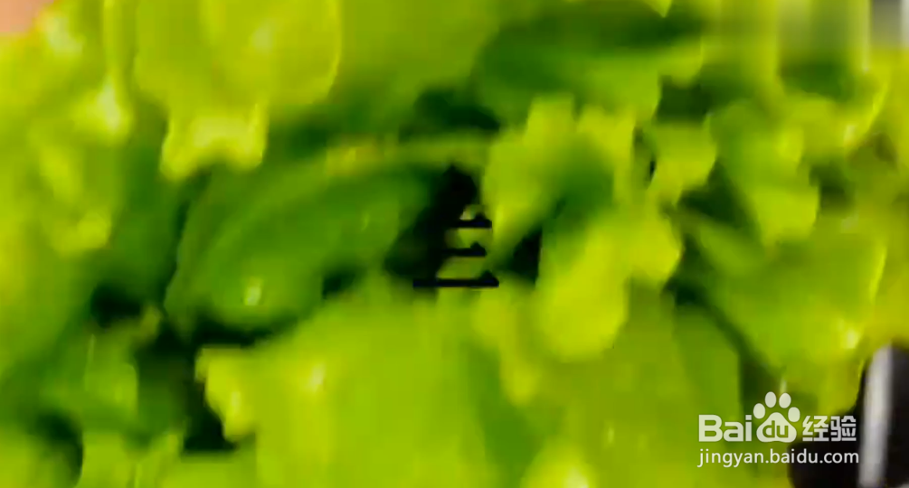 如何成为厨房小能手