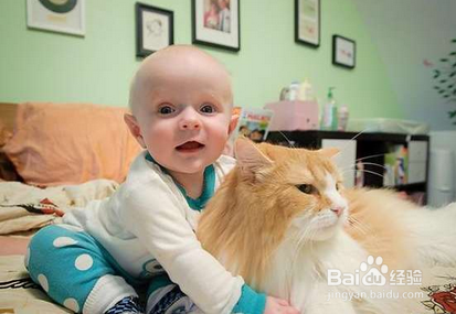 六种过敏的症状及对策