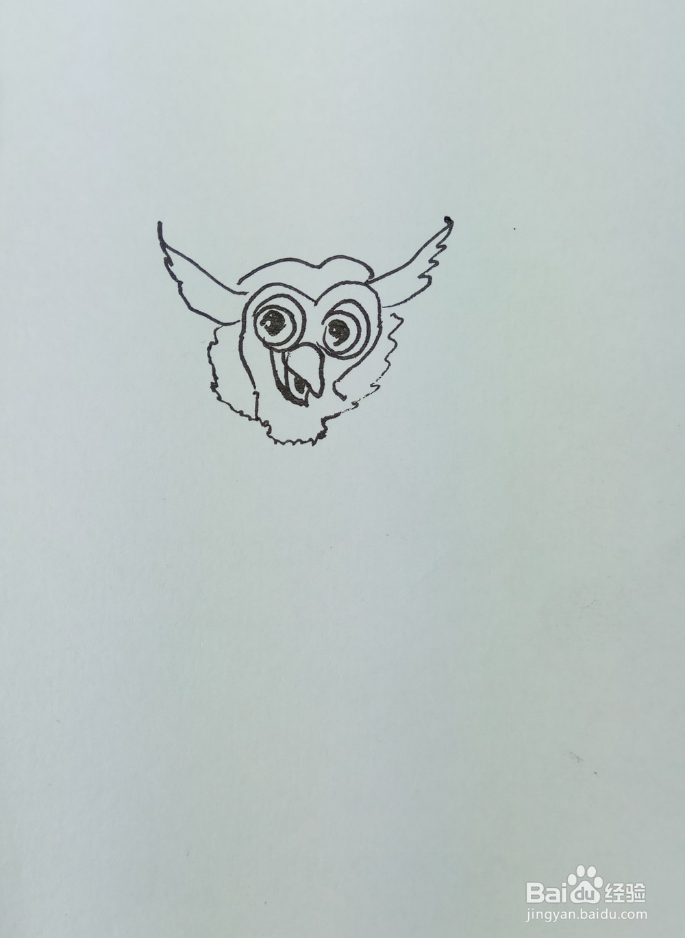 怎样画简笔画“老鼠最怕的猫头鹰”？