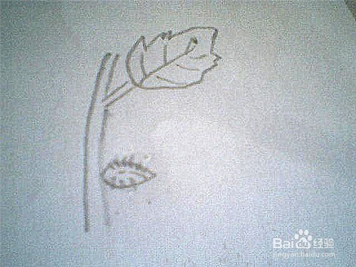 简笔画生长着的苍耳