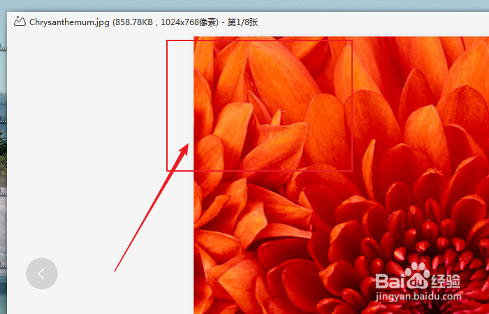 如何使用wps图片设置桌面壁纸