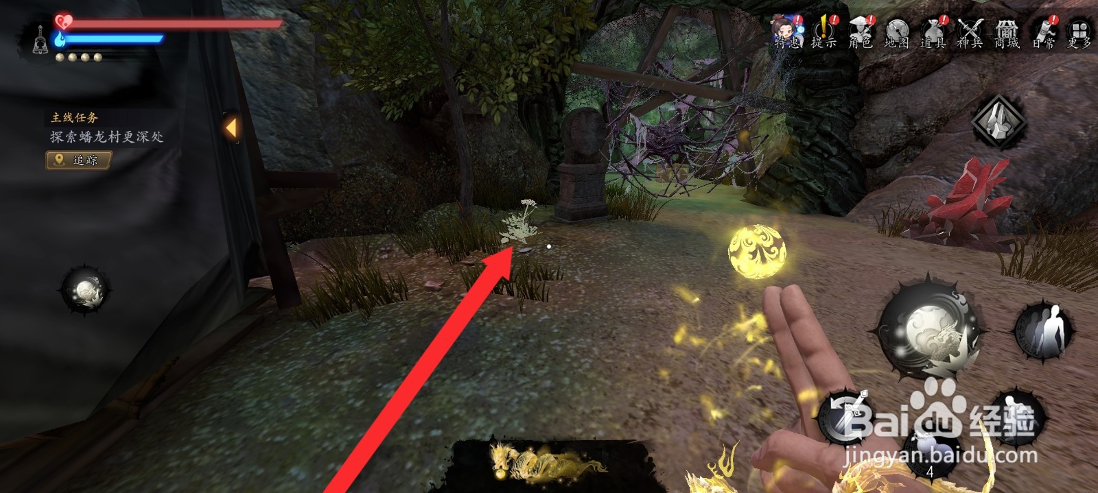 捕盗行纪如何采摘到党参