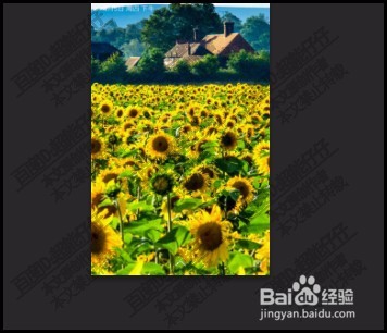 如何把图片拉到PS中？