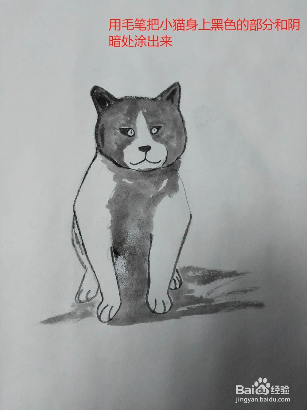 水彩画坐着的小猫的画法