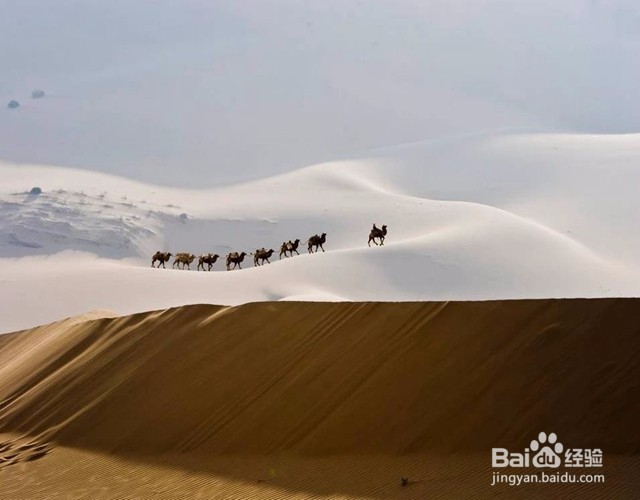 教你如何拍出简单,但是大气上档次的照片