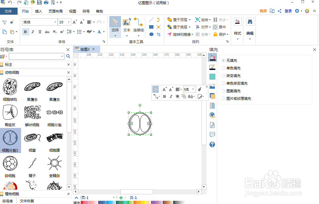 如何在亿图图示中创建细胞分裂示意图