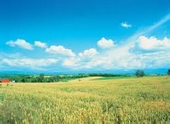 怎样做营销：[2]战略的制定