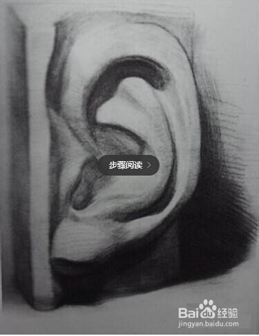如何画出仿真的素描石膏“耳朵”？