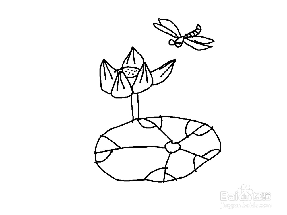 美术 简笔画荷花