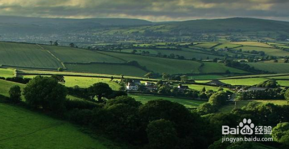 二元期权一分钟顺势而为，决胜千里之外
