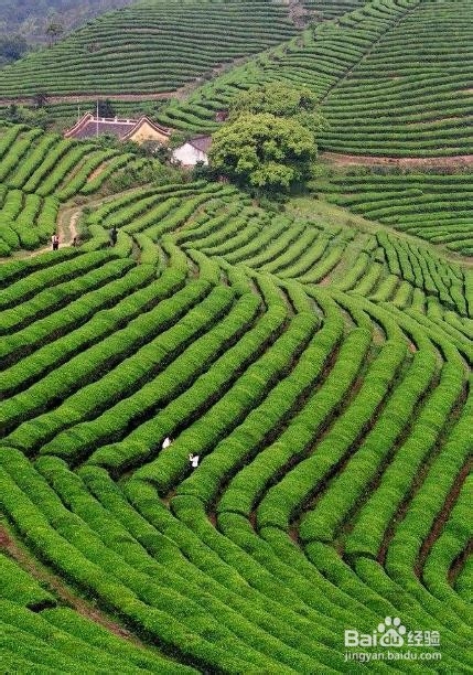 田间小气候观测仪安装场地如何选择
