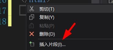 VisualStudio如何插入片段代码