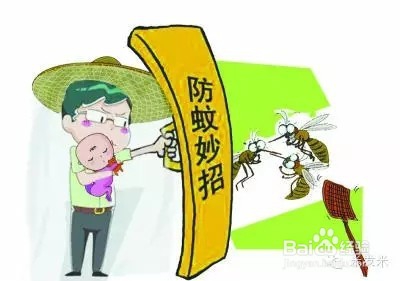 教你几招，蚊子一个夏天都不敢进你房间！