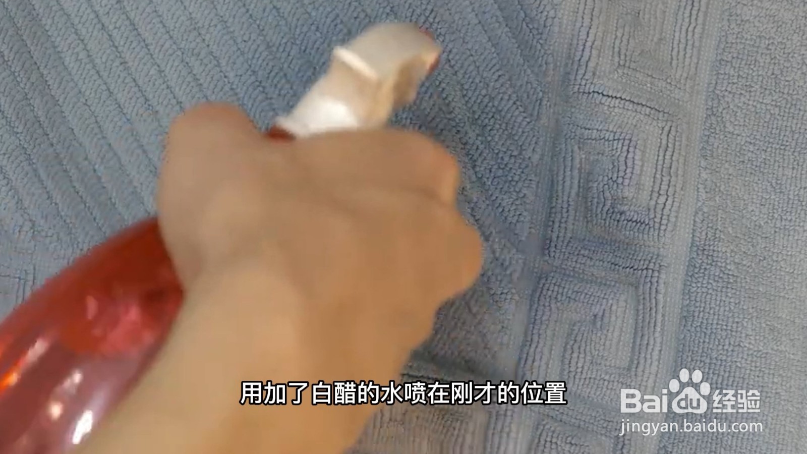 地毯怎么清理才能干净