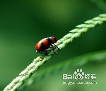 惊蛰时节如何养生