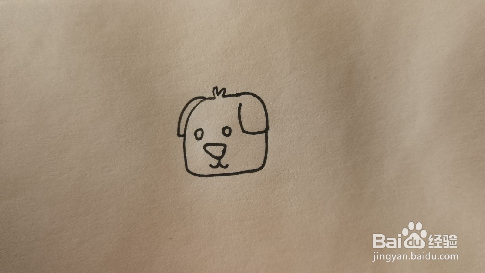 #经验分享官#小狗简笔画