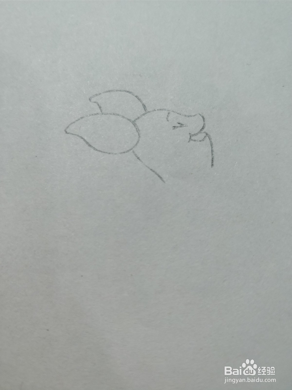 简笔画画卡通维尼熊的朋友——小猪