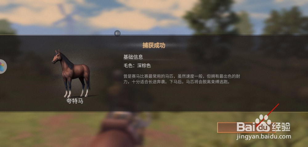 明日之后红杉镇野马怎么驯服