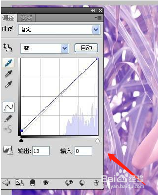 Photoshop打造浪漫的蓝紫色外景婚片