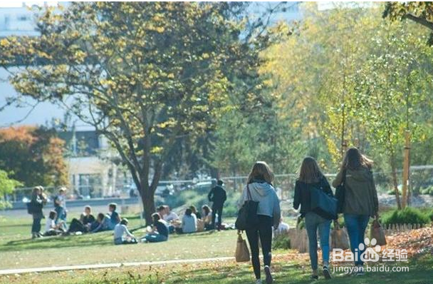 法国颜值最高的