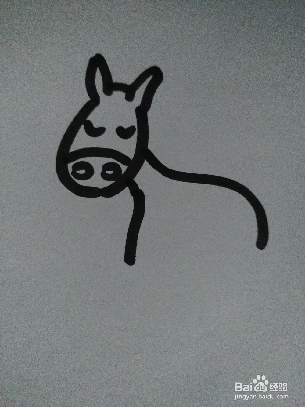 毛驴的简笔画技法16