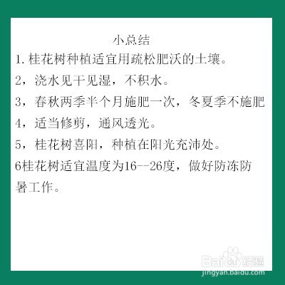 桂花树种植适宜用疏松肥沃的土壤. 2,浇水见干见湿,不积水.