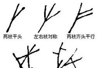 国画梅花的画法攻略