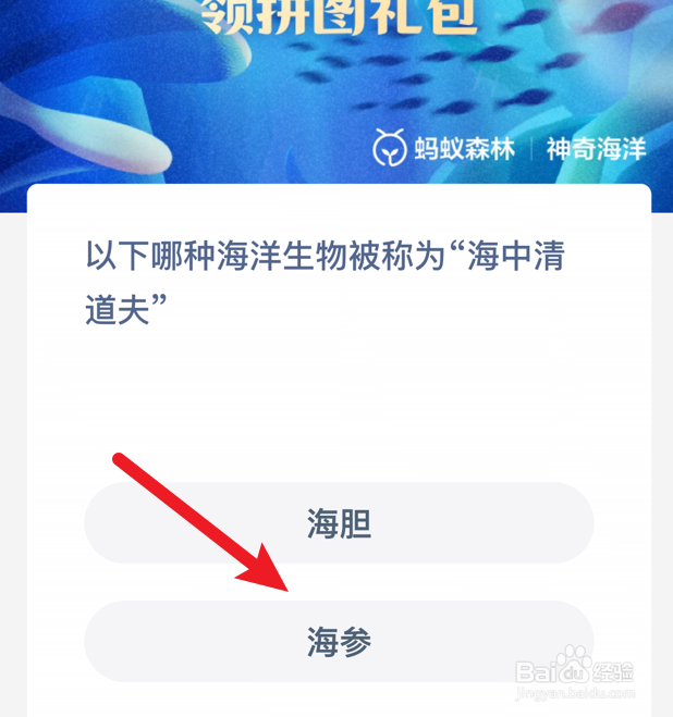 哪种海洋生物被称为“海中清道夫”?神奇海洋
