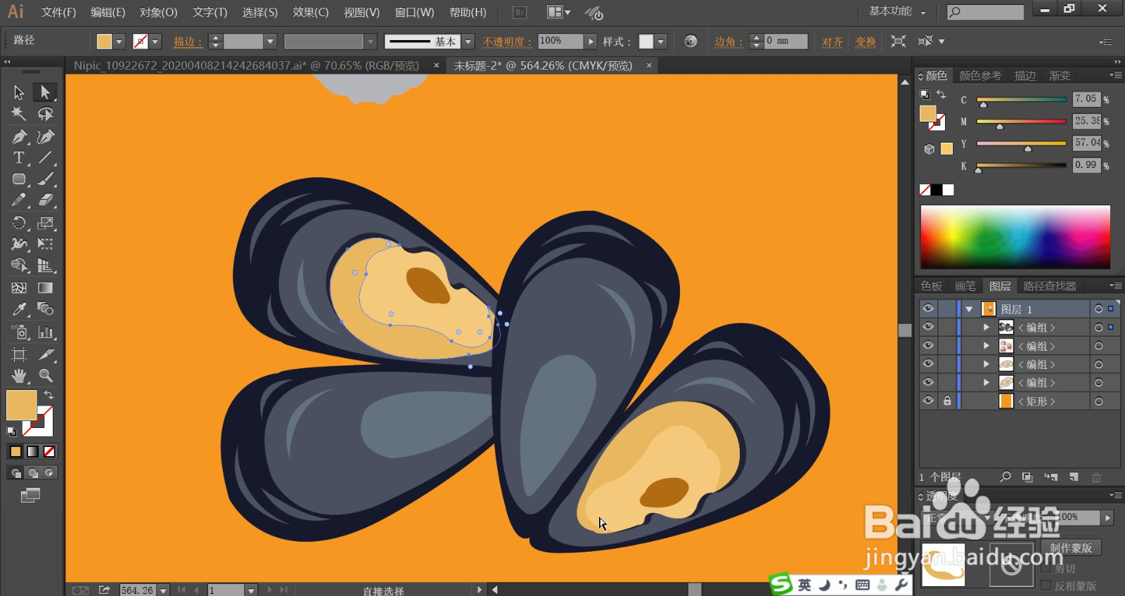 贝类海鲜图片设计