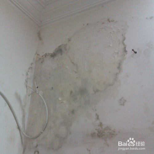 墙纸发霉了怎么翻新