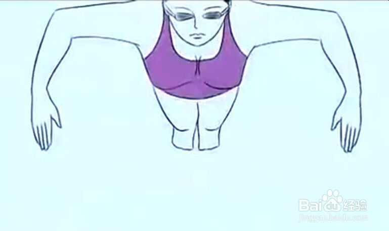 蛙泳动作要领分析