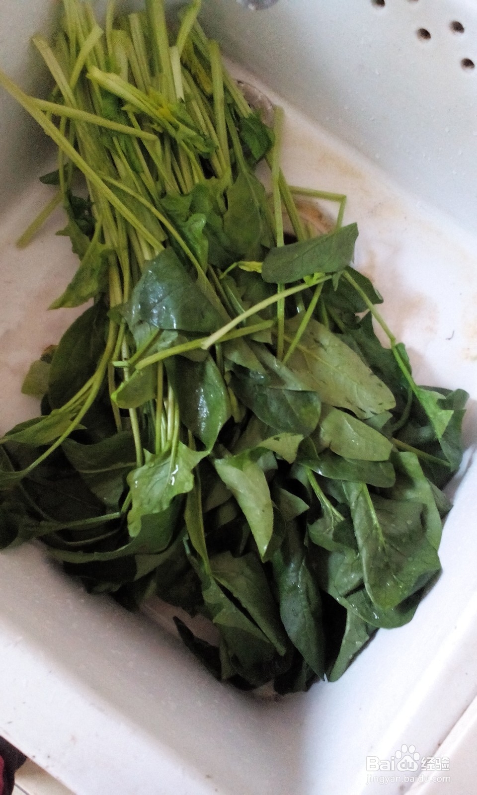 好吃的蒜蓉菠菜