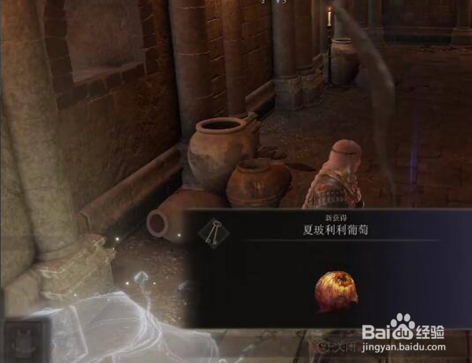 艾尔登法环葡萄支线怎么完成