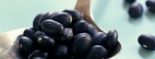 补钙效果最好的十种食物