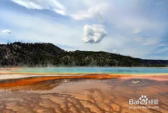 美国租车去哪玩?美国租车最强景点攻略!