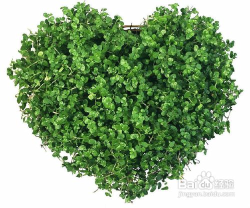 一年的12个情人节