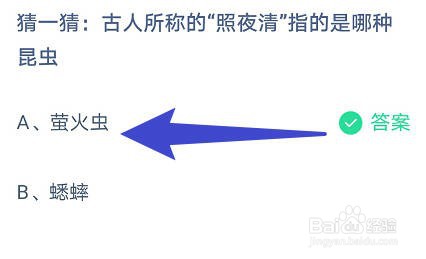 古人所称的“照夜清