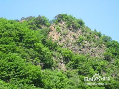 野外生存的必备知识分享