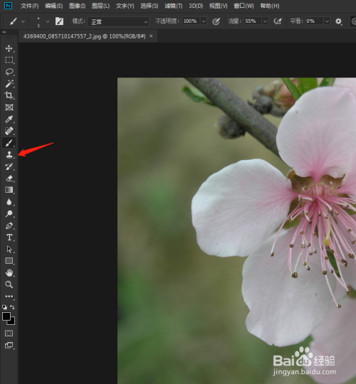 ps教程图片去水印的方法如何去水印
