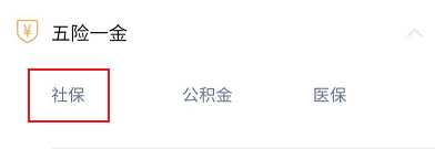 福建省城乡居民养老保险缴费信息记录怎么查询