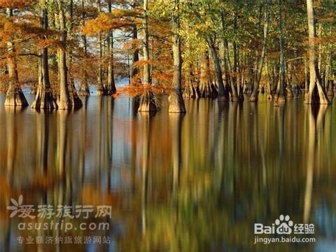 额济纳旅游攻略　