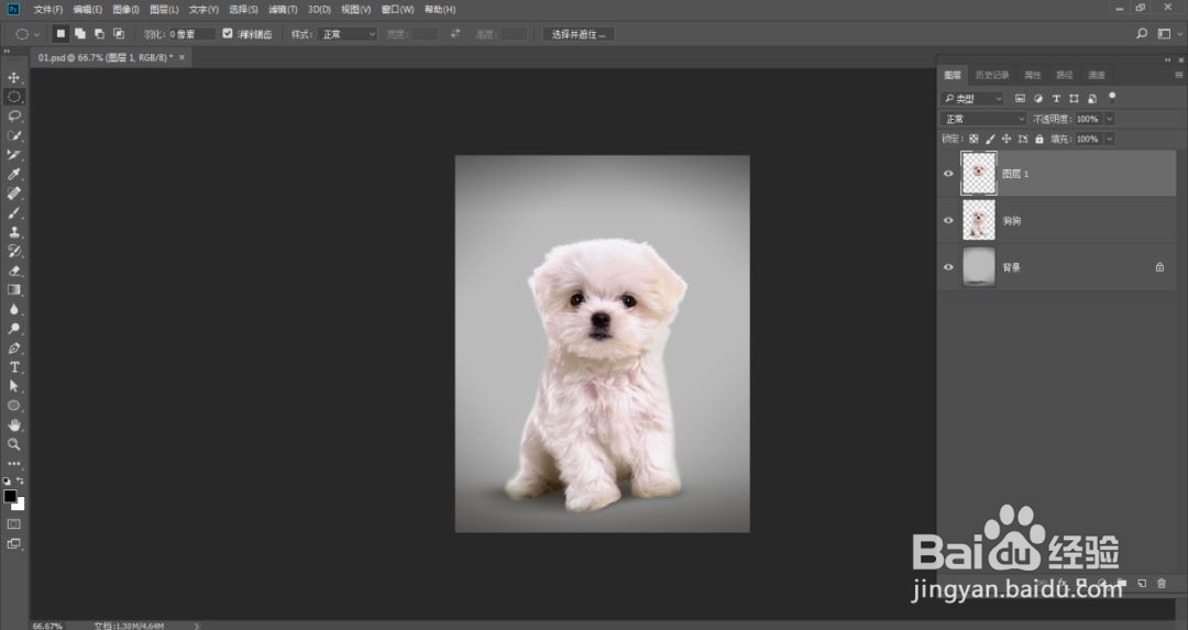PS教你如何制作时尚汪星人