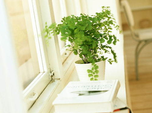 受寒感冒后的小措施