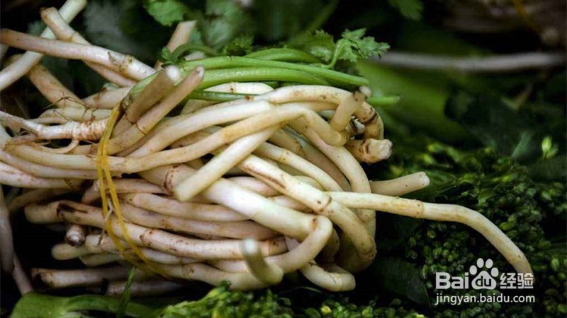 鸡血草的功效与作用及食用方法